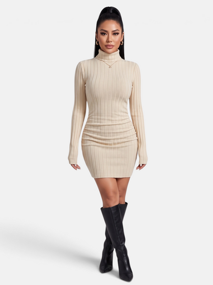 Women's Ribbed Knit Turtleneck Long Sleeve Mini Dress in Beige - Full Length View