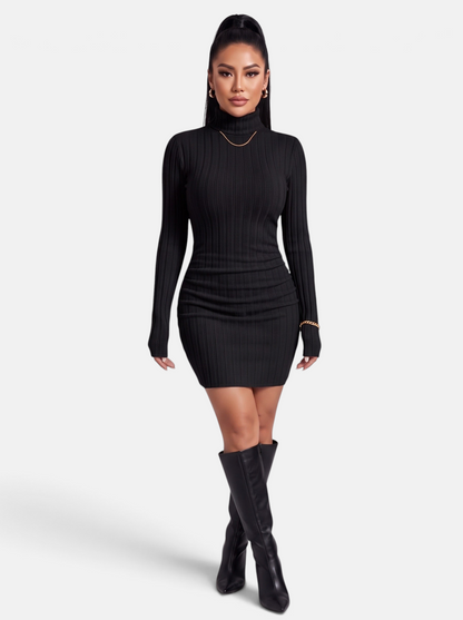 Women's Ribbed Knit Turtleneck Long Sleeve Mini Dress in Black - Full Length View
