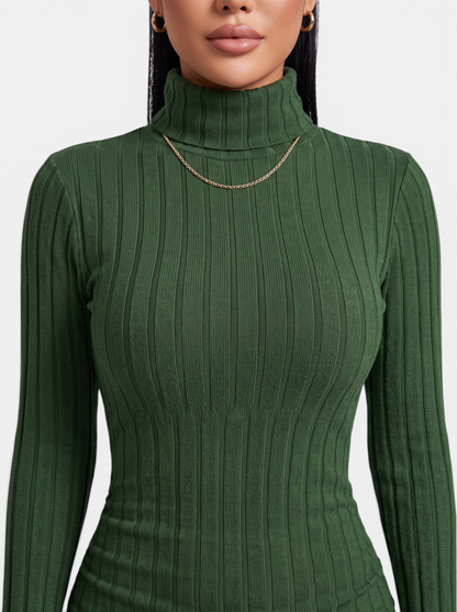 Women's Ribbed Knit Turtleneck Long Sleeve Mini Dress - Ribbed Knit Detail